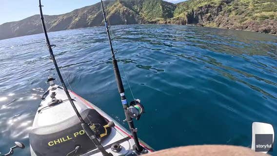 ‘F--- this!’ Terrified kayaker stalked by great white shark
